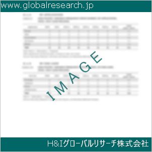 グローバルリサーチ調査資料のイメージ